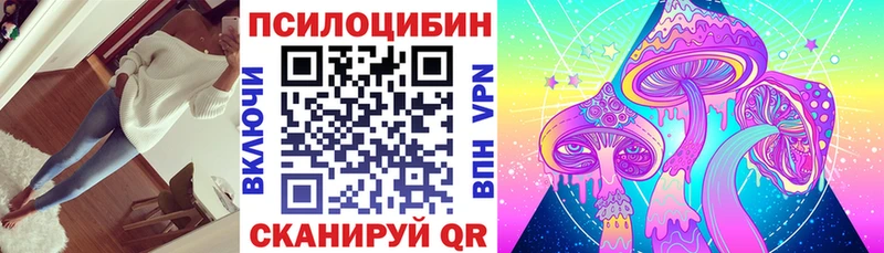 Галлюциногенные грибы Psilocybine cubensis  Купить  Багратионовск 